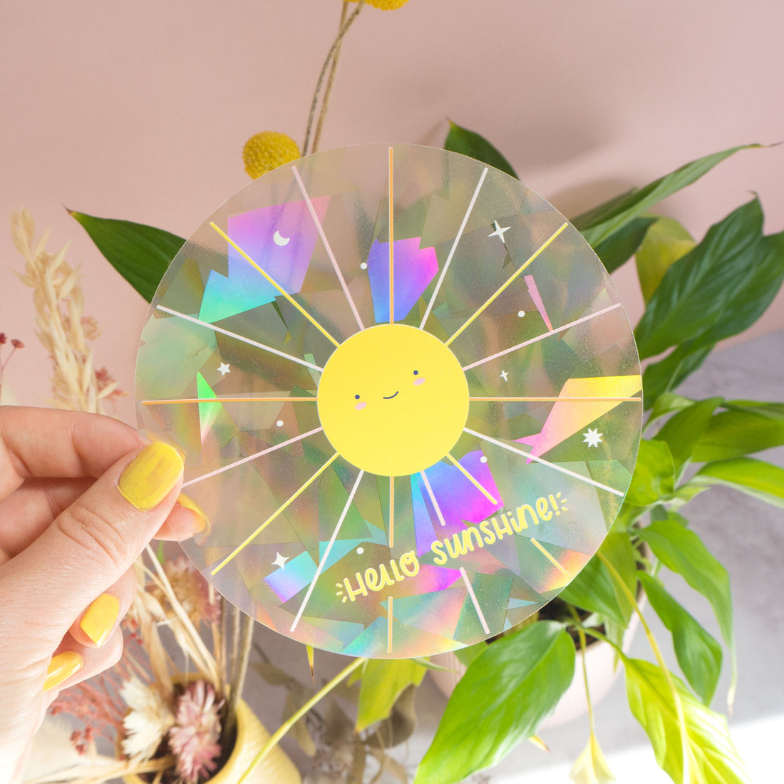 What are Sun Catchers and what do they do?