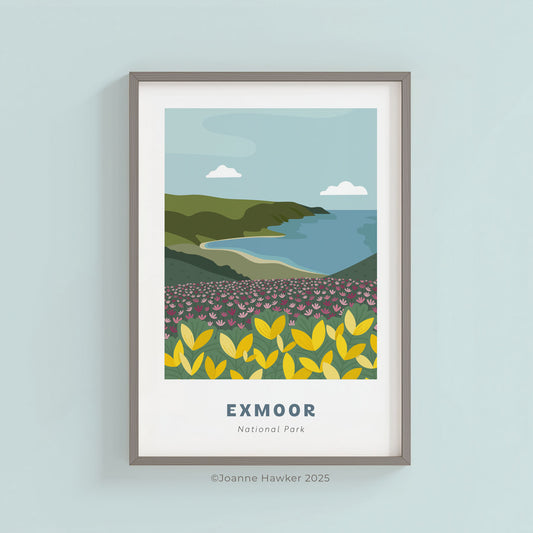 A framed Exmoor National Park print showing the rolling hills of Exmoor looking out to the calm peaceful sea of the Bristol Channel. Yellow gorse in the foreground moving into heather and then into the cliffs and sea.