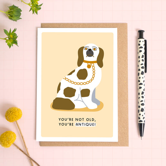 A peachy, cream colour card with a white border featuring a seated Staffordshire dog in the King Charles cavalier style and the phrase ‘You're not old, you're antique!’. The card is laid on a kraft brown envelope on top of a blue background next to a pen and flowers.