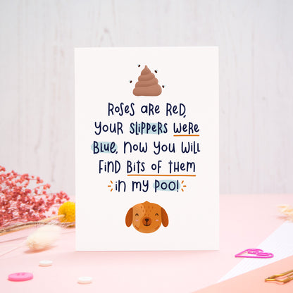 A Valentine’s ‘from the dog’ card featuring a ‘roses are red’ rhyme, photographed stood on a pink and white background with floral props, paper clips, and buttons. 