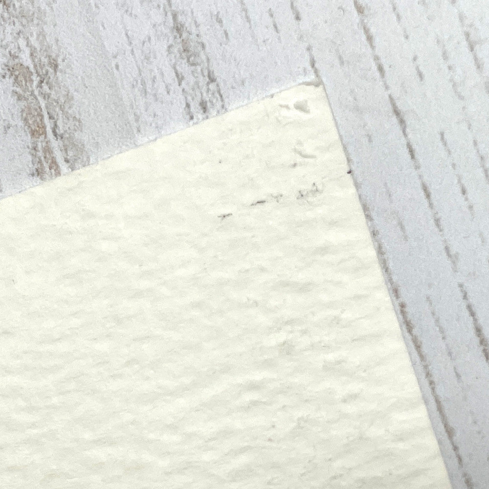 Seconds Plant Prints