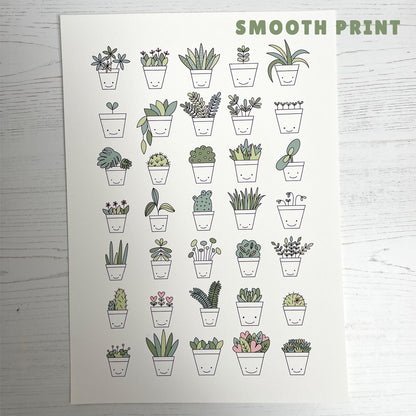 Seconds Plant Prints