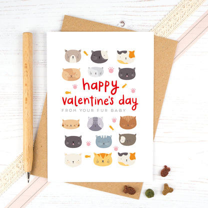 A valentines card from the cat. Happy Valentines day from your fur baby.